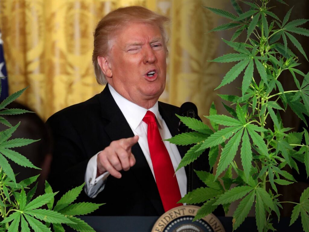 Trump in Favor of States Rights on Marijuana