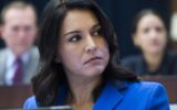 Tulsi Gabbard Google Lawsuit